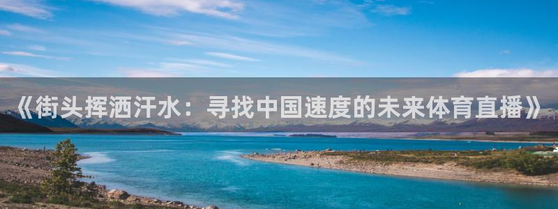 《街头挥洒汗水：寻找中国速度的未来体育直播》