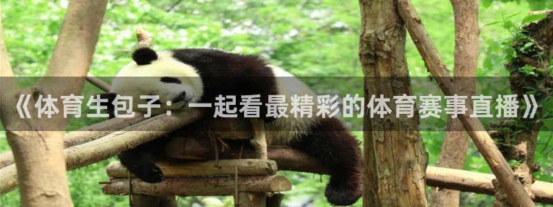 《体育生包子：一起看最精彩的体育赛事直播》
