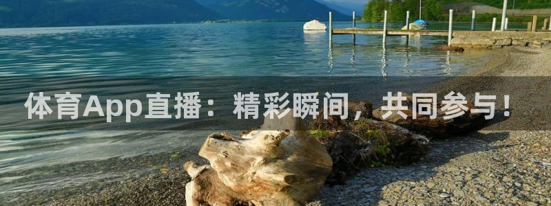体育App直播：精彩瞬间，共同参与！
