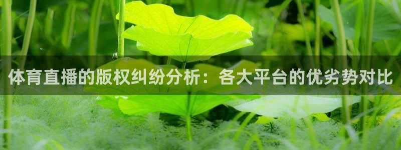体育直播的版权纠纷分析：各大平台的优劣势对比