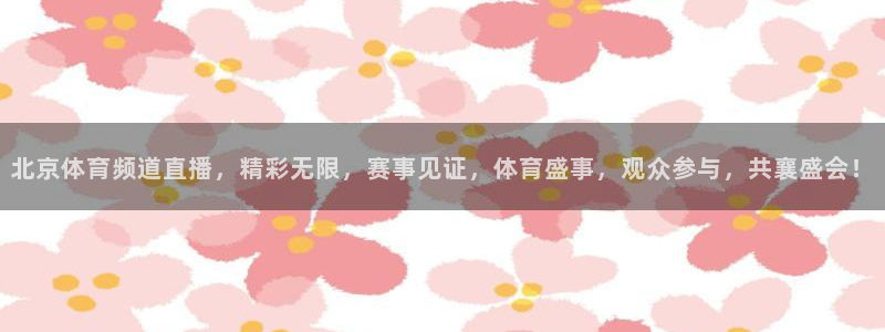 北京体育频道直播，精彩无限，赛事见证，体育盛事，观众参与，共襄盛会！