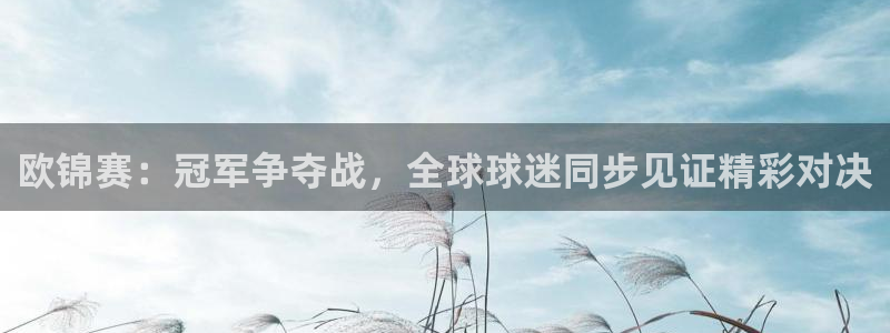 欧锦赛：冠军争夺战，全球球迷同步见证精彩对决