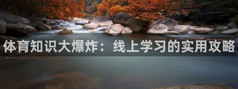 体育知识大爆炸：线上学习的实用攻略