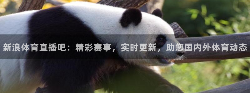 新浪体育直播吧：精彩赛事，实时更新，助您国内外体育动态
