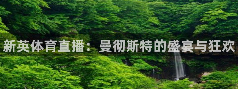 新英体育直播：曼彻斯特的盛宴与狂欢