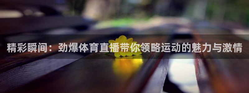精彩瞬间：劲爆体育直播带你领略运动的魅力与激情