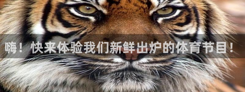 嗨！快来体验我们新鲜出炉的体育节目！