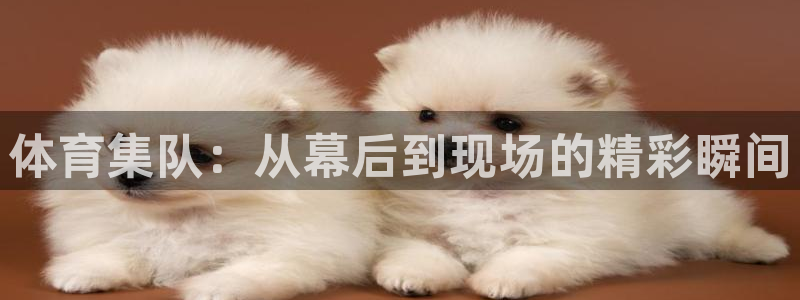 体育集队：从幕后到现场的精彩瞬间