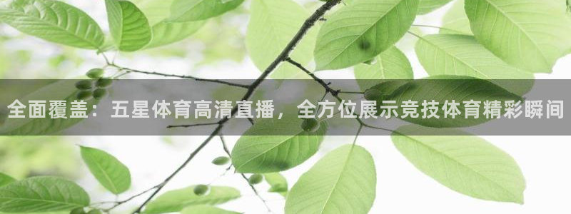 全面覆盖：五星体育高清直播，全方位展示竞技体育精彩瞬间