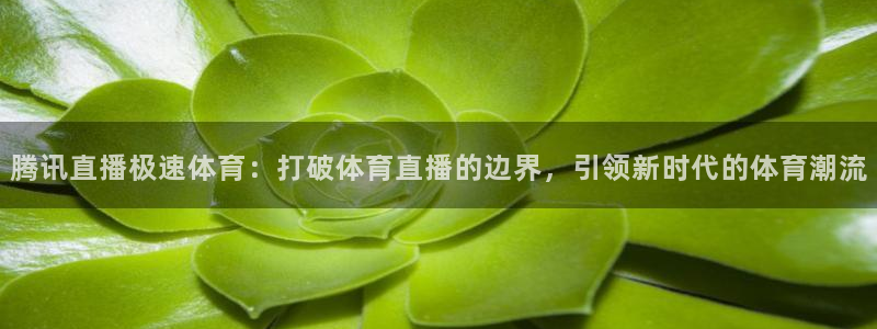 腾讯直播极速体育：打破体育直播的边界，引领新时代的体育潮流